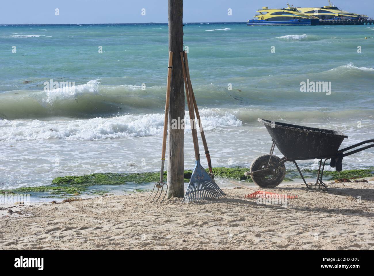 Ausrüstung, Schubkarre und Rechen wurden verwendet, um einen tropischen öffentlichen Strand in Mexiko zu reinigen Stockfoto