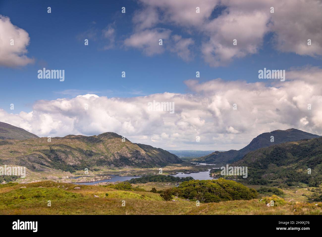 Blick vom Ladies View im Killarney National Park, County Kerry, Irland Stockfoto
