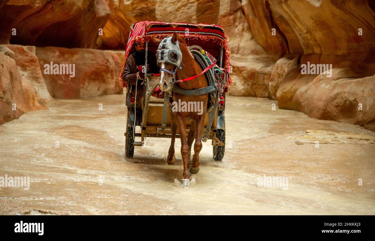 In Petra werden Touristen mit Beduinenwagen durch den Park transportiert 20. Februar 2020 Jordanien Stockfoto