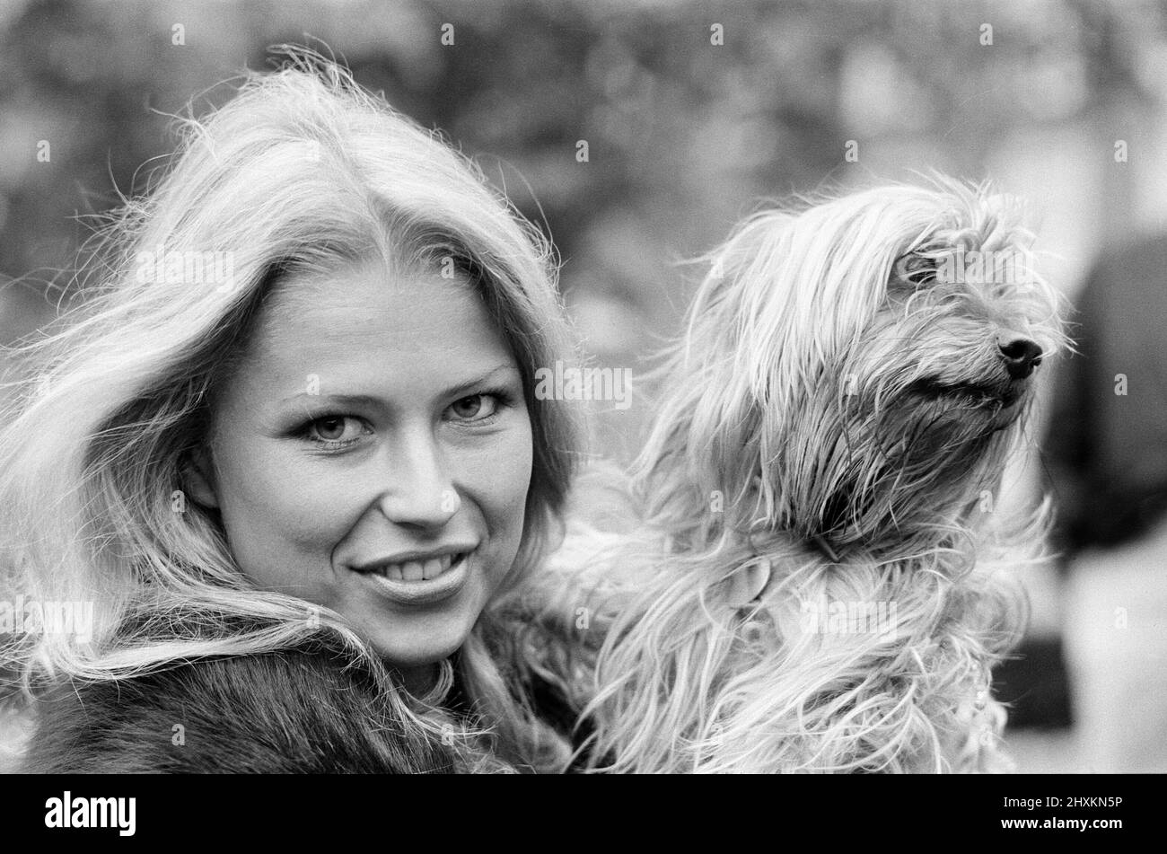 Dagmar Winkler, Miss Deutschland, Miss World Contestant, Photo-Call im Britannia Hotel, Grosvenor Square, London, 30.. Oktober 1977. Abgebildet ist der yorkshire Terrier Hund Robbie, der der 11-jährigen Silvia Pearson gehört, die ihn auf dem Platz zu Fuß geführt hat. Stockfoto