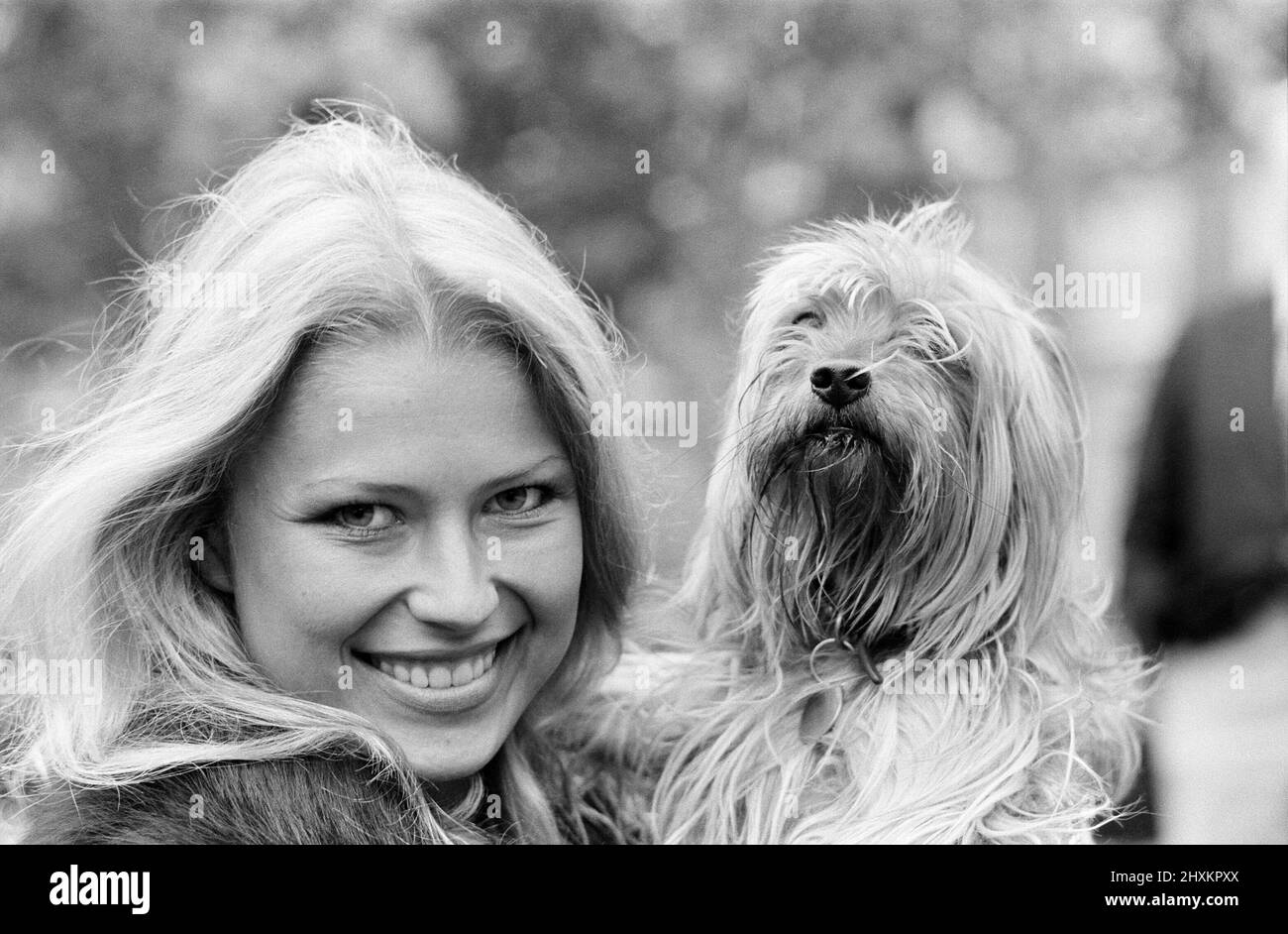 Dagmar Winkler, Miss Deutschland, Miss World Contestant, Photo-Call im Britannia Hotel, Grosvenor Square, London, 30.. Oktober 1977. Abgebildet ist der yorkshire Terrier Hund Robbie, der der 11-jährigen Silvia Pearson gehört, die ihn auf dem Platz zu Fuß geführt hat. Stockfoto