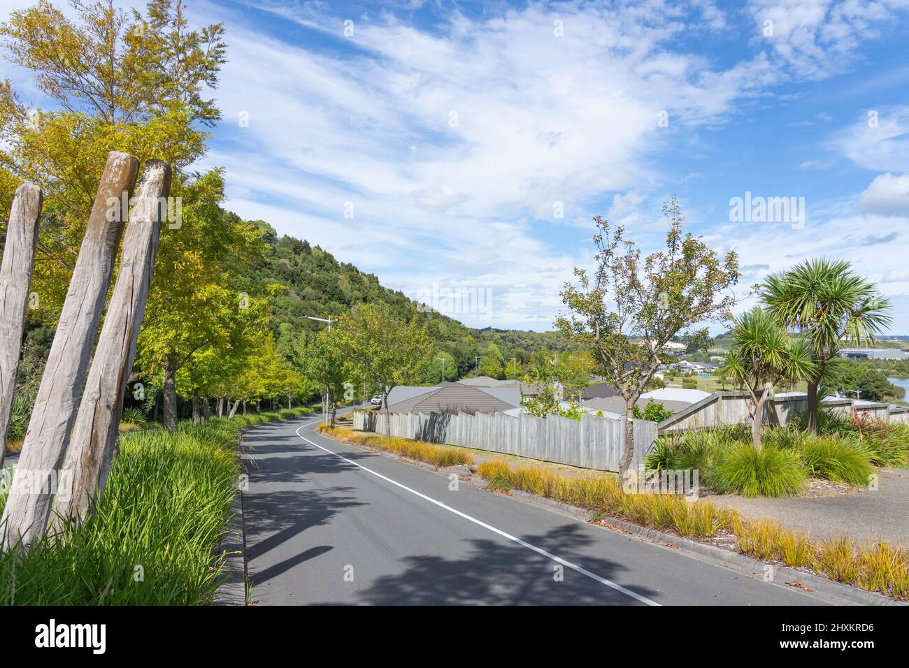 Wunderschön angelegte Vorstadtstraße durch das Lakes-Wohnviertel, Tauranga Neuseeland. Stockfoto