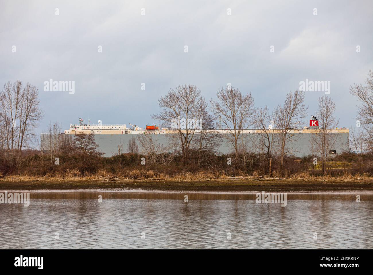 Der Fahrzeugträger Adriatic Highway kommt im Südarm des Fraser River in der Nähe von Vancouver, Kanada an Stockfoto