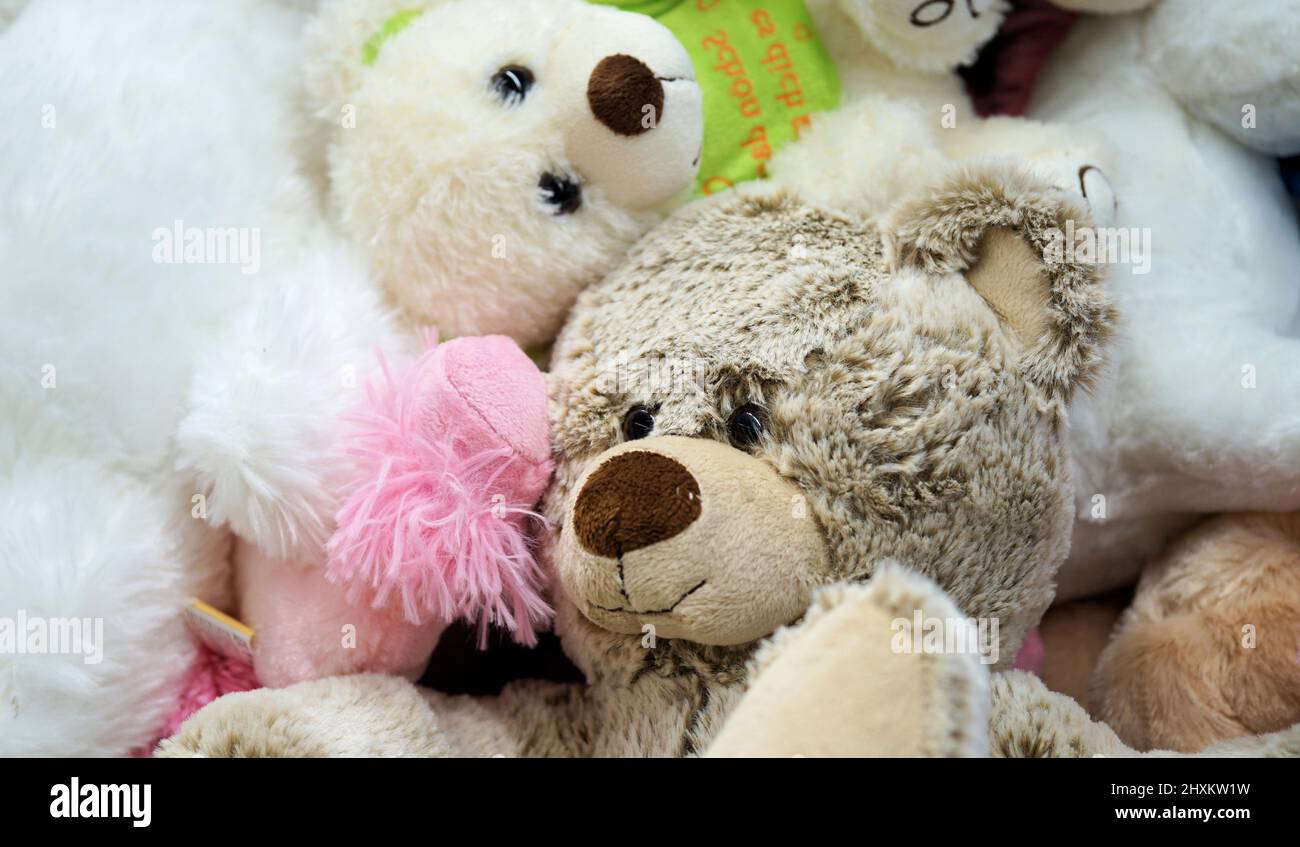 Teddybär, ausgestopfte Tiere. Hintergrund Stockfoto