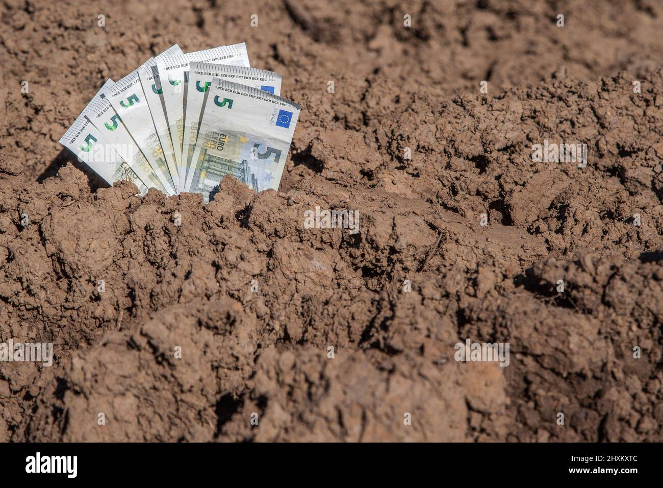 Ackerland ist in Zukunft wertvoller als Geld. Stockfoto