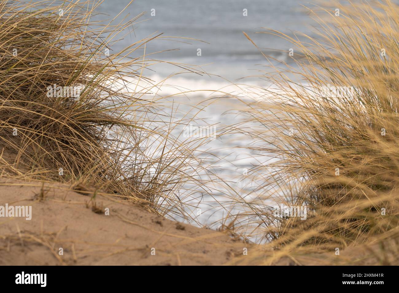 Blick von der Halbinsel, über die Sanddünen bis zum Meer, von einem britischen Strand. Stockfoto
