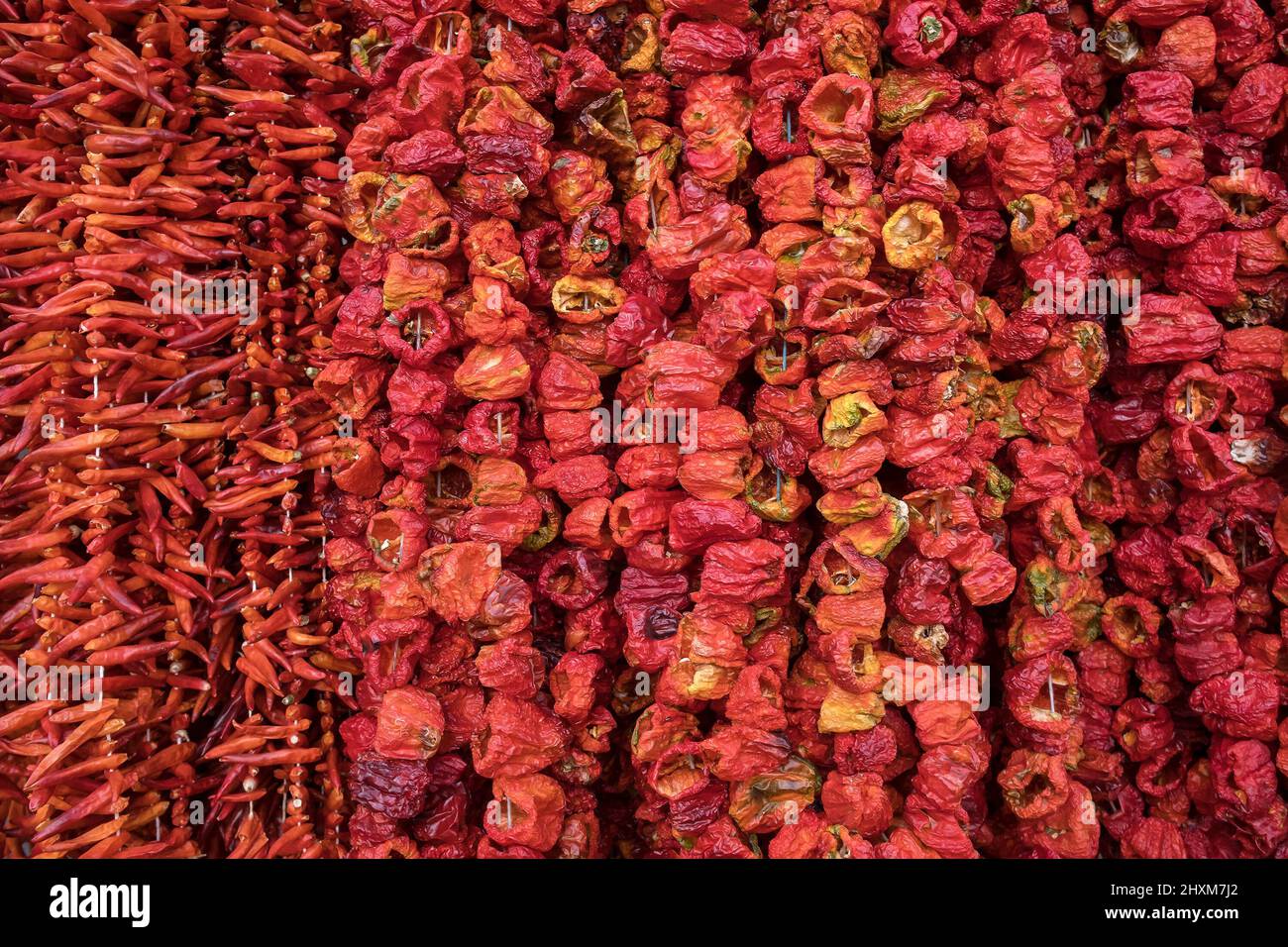 Getrocknete Paprika hängen auf dem traditionellen türkischen Lebensmittelmarkt aus nächster Nähe Stockfoto