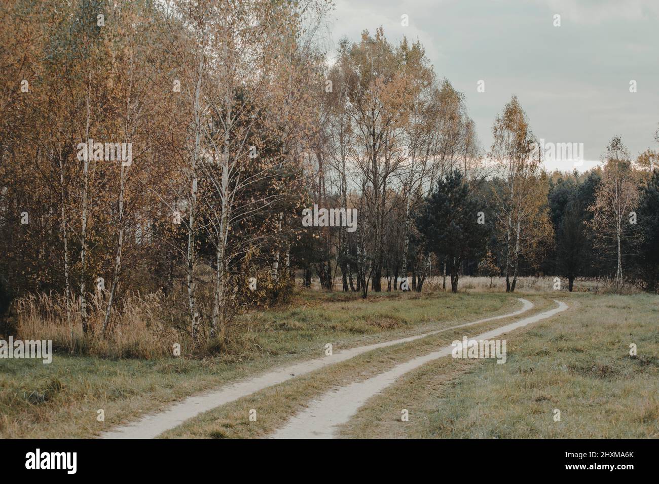 Perehod Tourist Trial, Poleski Nationalpark, Polesie, Polen. Stockfoto