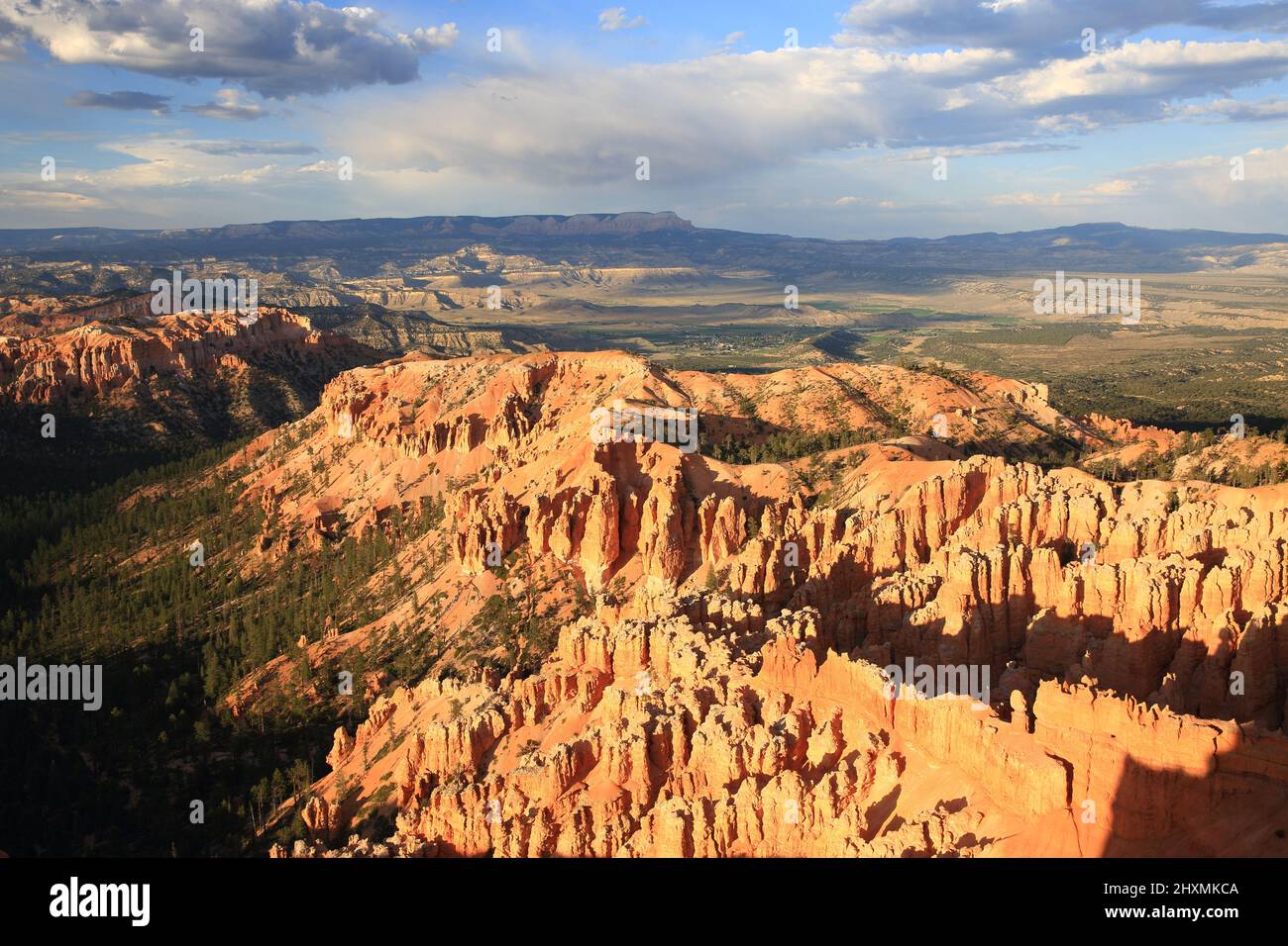 Bryce Canyon im Sommer, Utah-USA Stockfoto