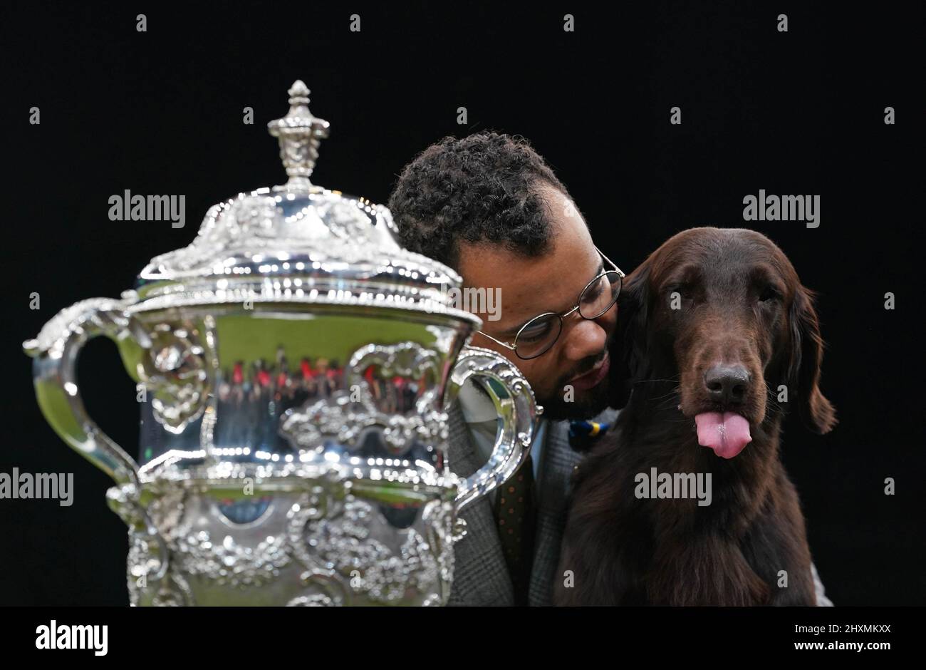 Gundog-Gewinner Baxer, ein flacher Retriever, der am letzten Tag der Crufts Dog Show im Birmingham National Exhibition Centre (NEC) die Best in Show gewonnen hat. Bilddatum: Sonntag, 13. März 2022. Stockfoto