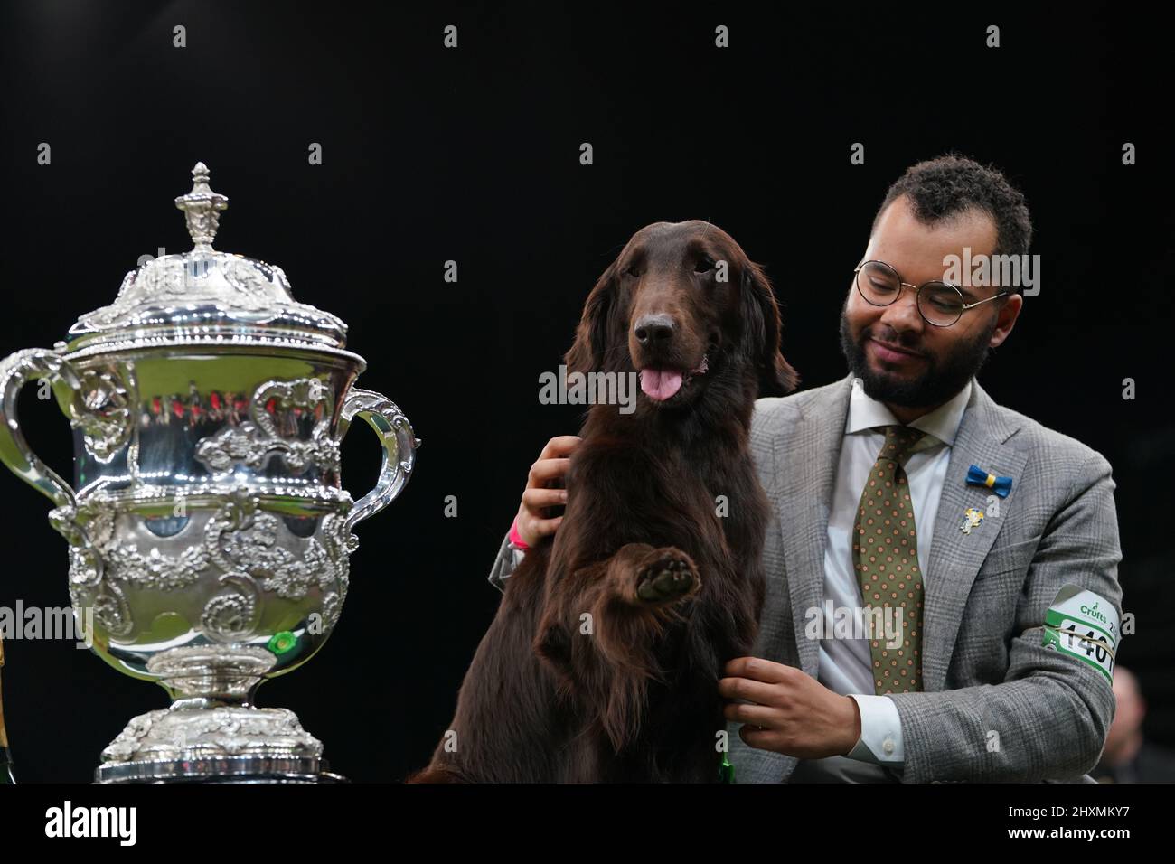 Gundog-Gewinner Baxer, ein flacher Retriever, der am letzten Tag der Crufts Dog Show im Birmingham National Exhibition Centre (NEC) die Best in Show gewonnen hat. Bilddatum: Sonntag, 13. März 2022. Stockfoto