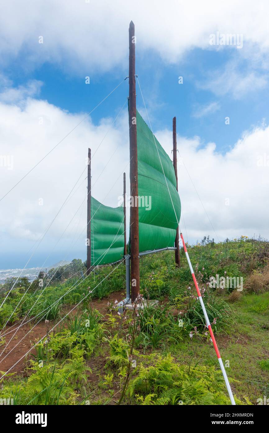 Wolkenernte, Nebelfänger, Netze, Netze, die zur Wassergewinnung aus niedrigen Wolken/Nebel/Nebel in den Bergen auf Gran Canaria, Kanarische Inseln, Spanien verwendet wurden Stockfoto