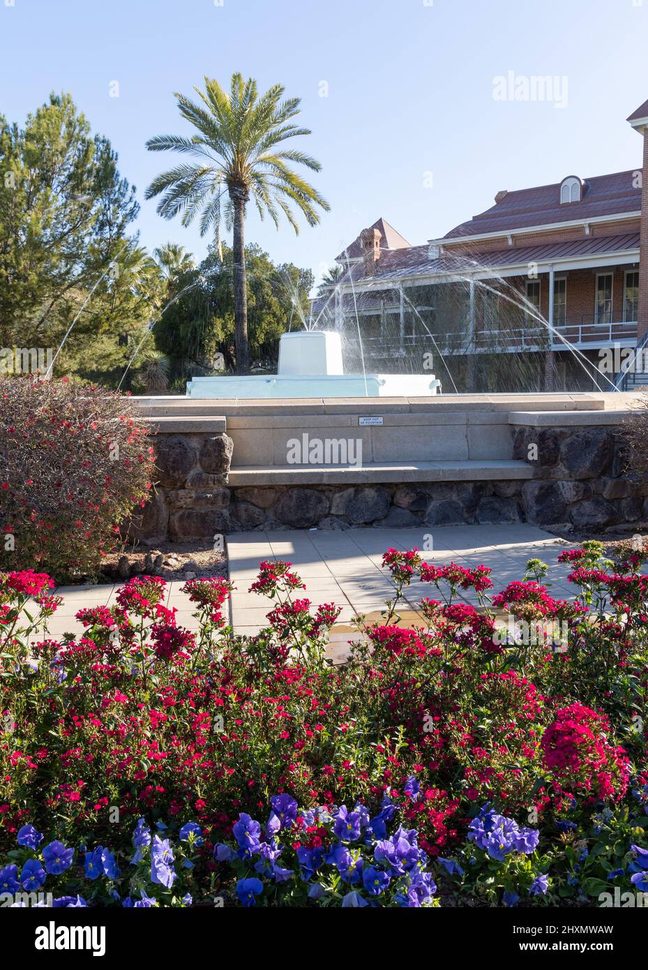 Brunnen vor Old Main auf dem Campus der University of Arizona Stockfoto