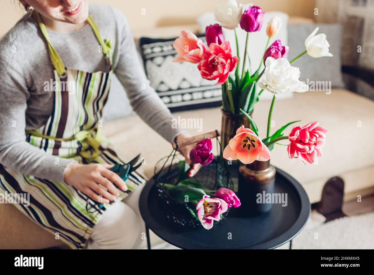 Frau arrangiert Blumenstrauß aus Tulpen in Vasen zu Hause mit Metallkorb und Beschneider. Florist schneidet Stiel mit einer Schere auf dem Tisch. Innenausstattung und Einrichtung Stockfoto