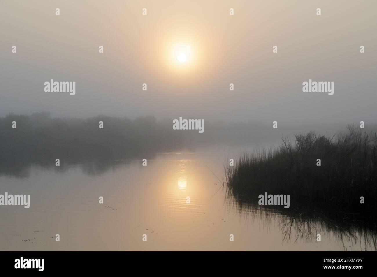 Nebliger Morgen bei Gezeitenmarsch, Galveston, Texas, USA. Stockfoto