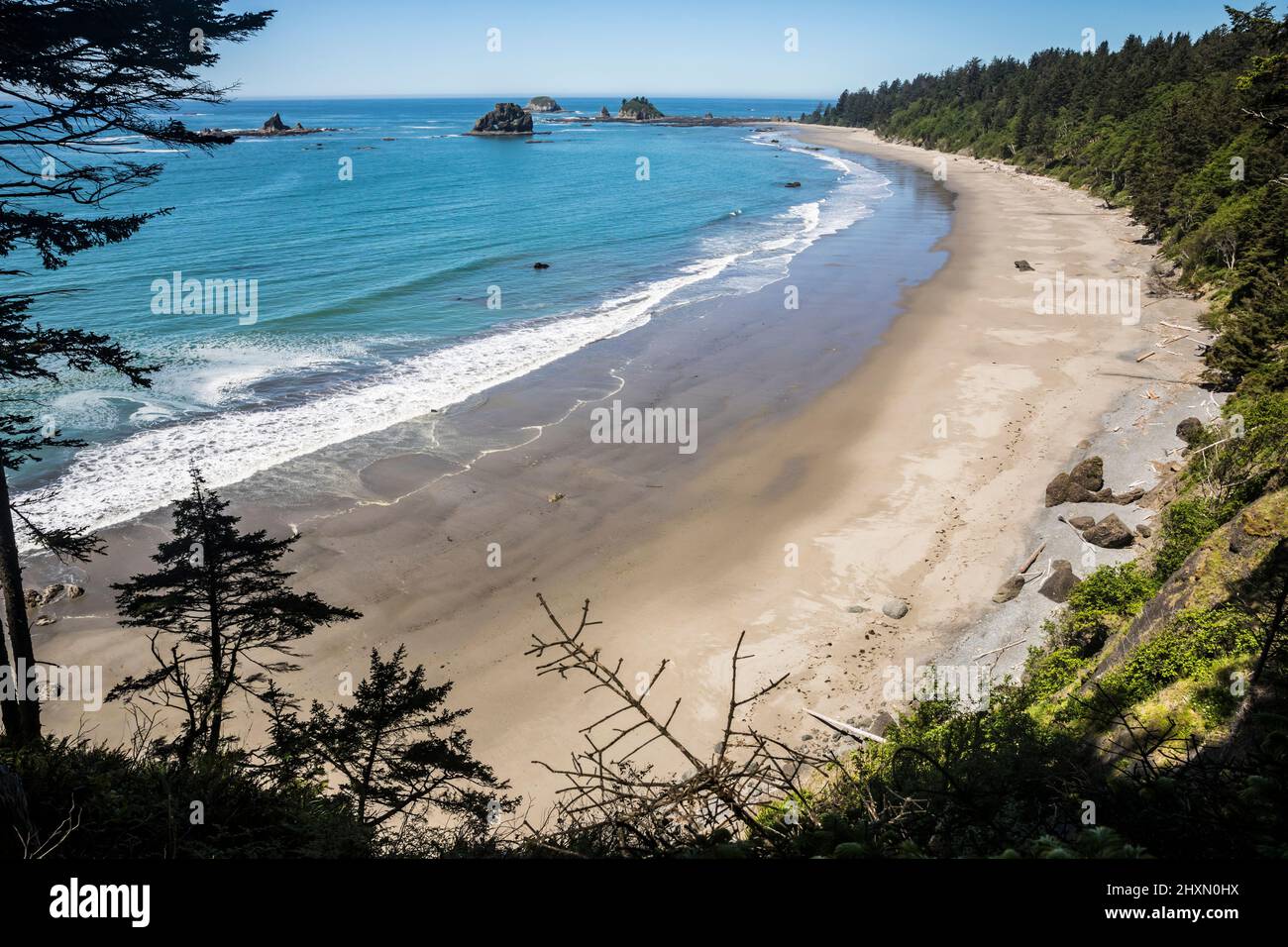 Der Strand südlich von Toleak Point an der Südküste des Olympic National Park Coastal Strip, Washington, USA. Stockfoto
