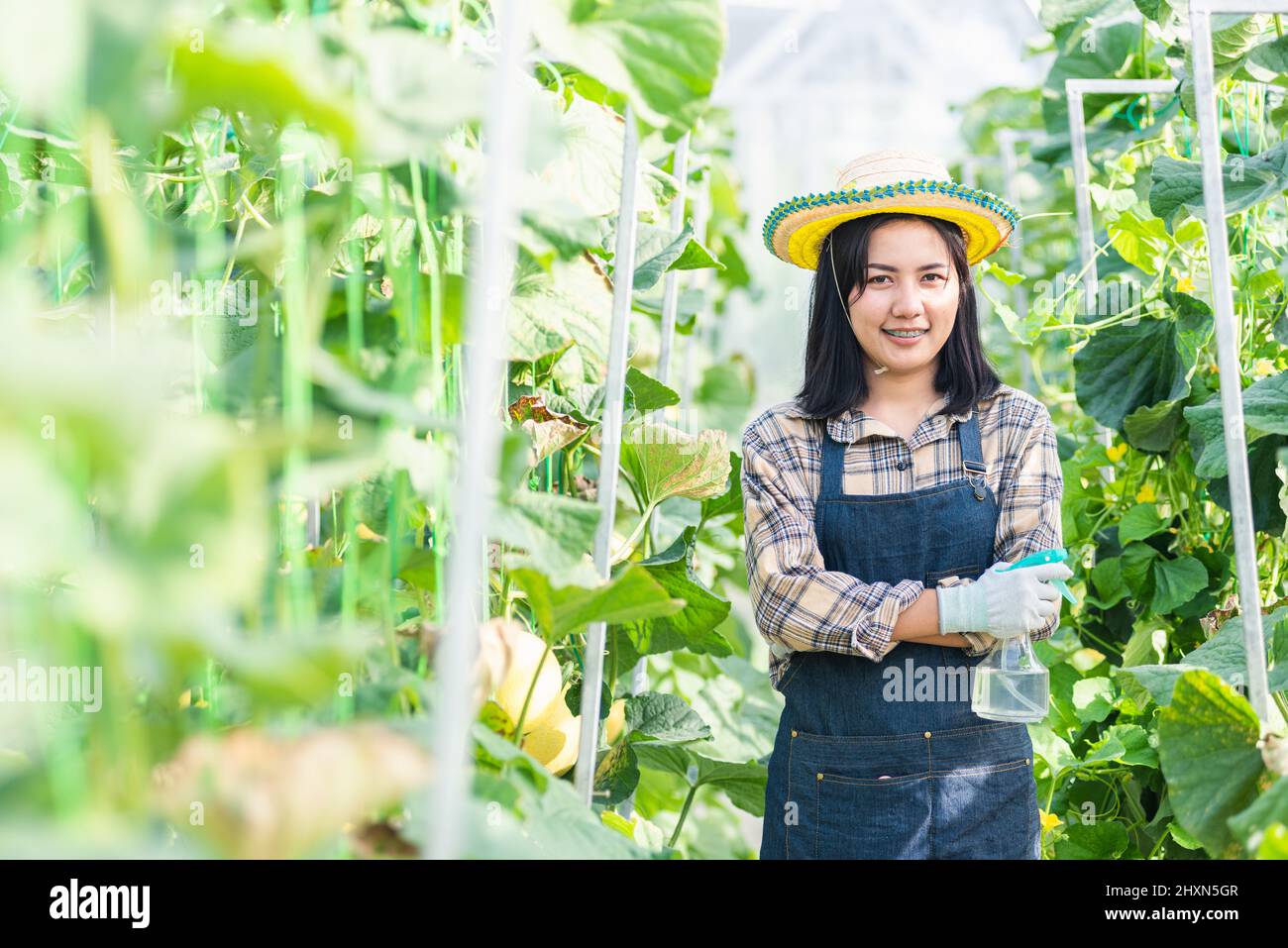 Glückliche junge Frau Landwirt steht Arme gekreuzt und lächelt im Garten Gewächshaus Pflanzen, Melone Garten Bauernhof, Obst Garten Bio-Konzept Stockfoto