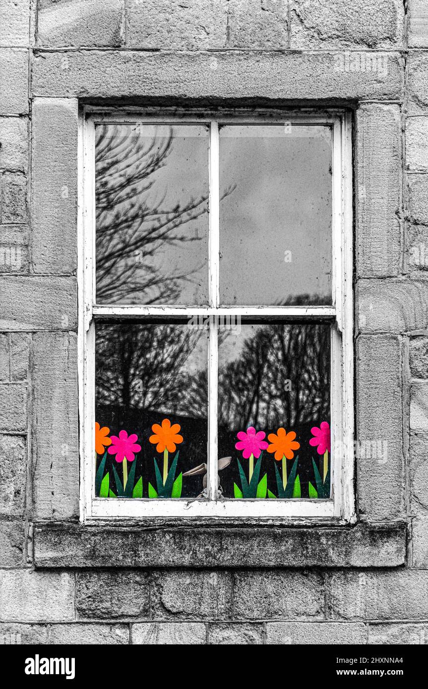 Blumen im Fenster, Todmorden, West Yorkshire Stockfoto