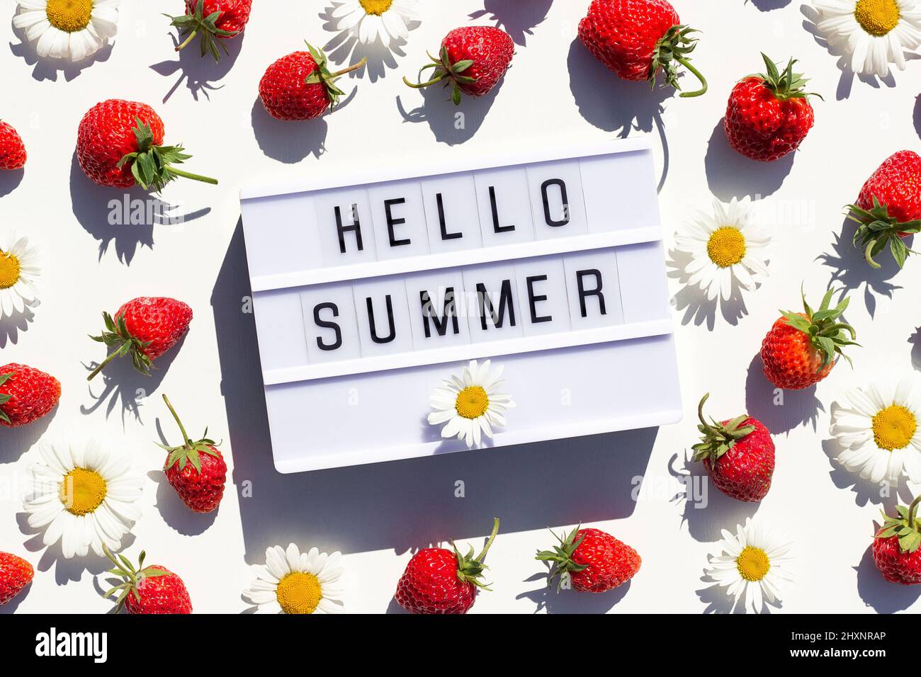 Hallo Sommer Text auf Leuchtkasten und Erdbeere, Kamillenblüten auf weißem Hintergrund. Kreatives Konzept Sommerzeit. Draufsicht, Flat Lay, Grußkarte. Stockfoto
