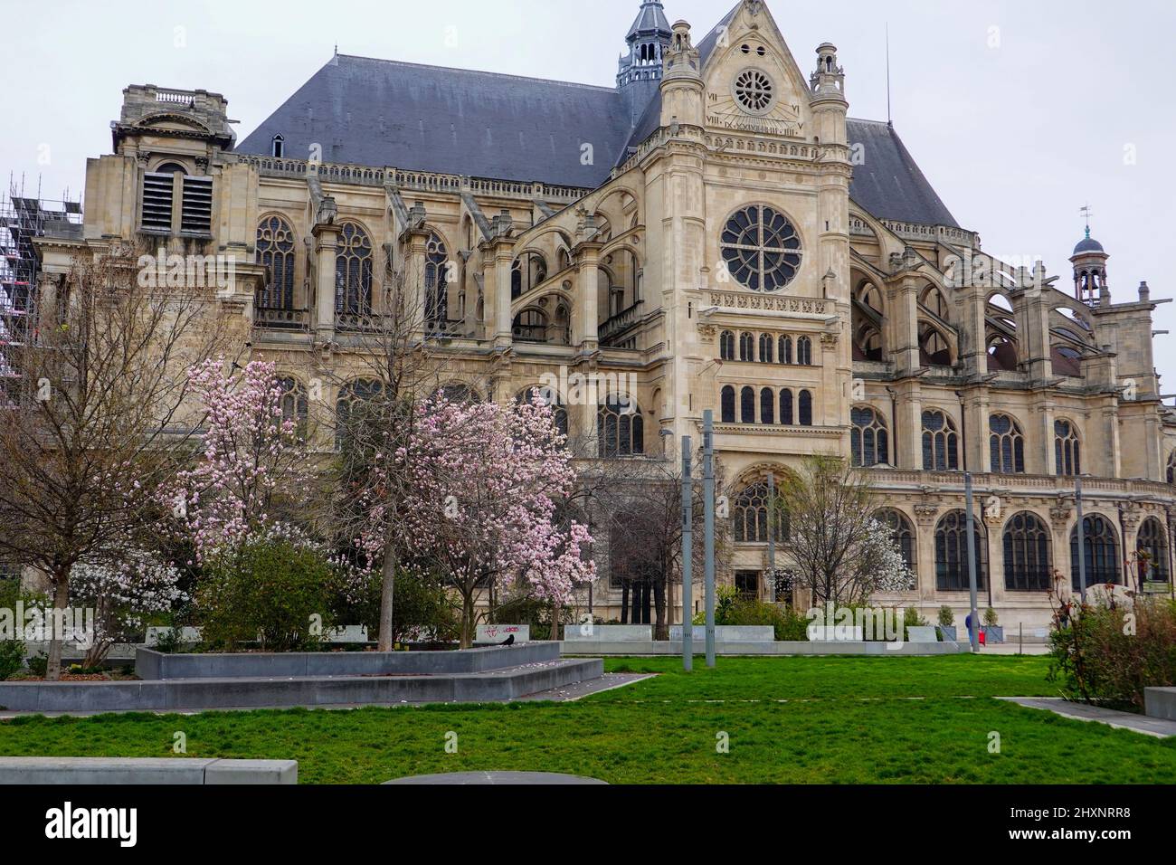 Blühende Bäume vor Saint-Eustache, die das Ende des Winters in den Nelson-Mandela-Gärten in Paris signalisieren. Stockfoto