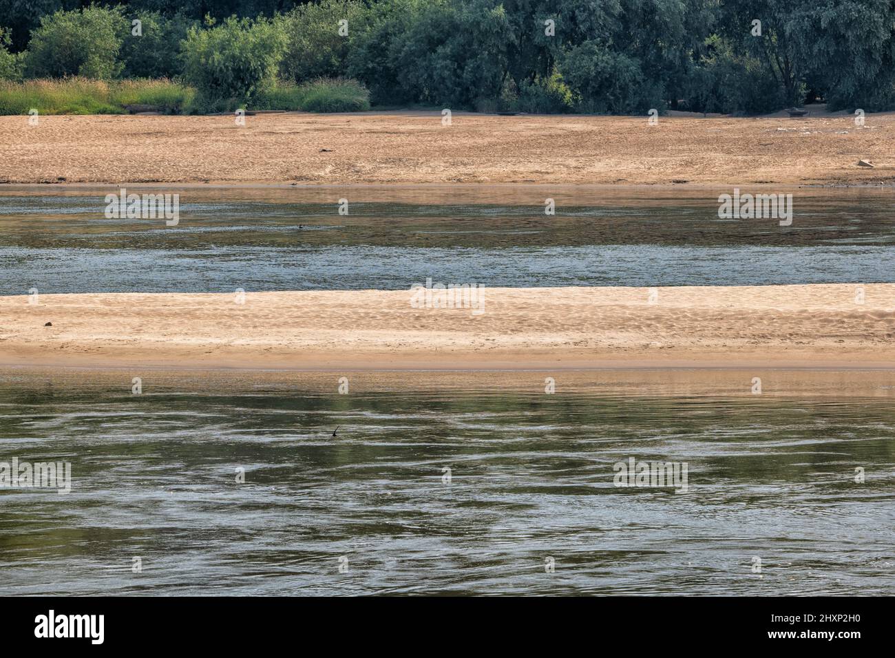 Flussstrand durch sandige Insel, Weichsel, Masovia, Polen geteilt. Stockfoto