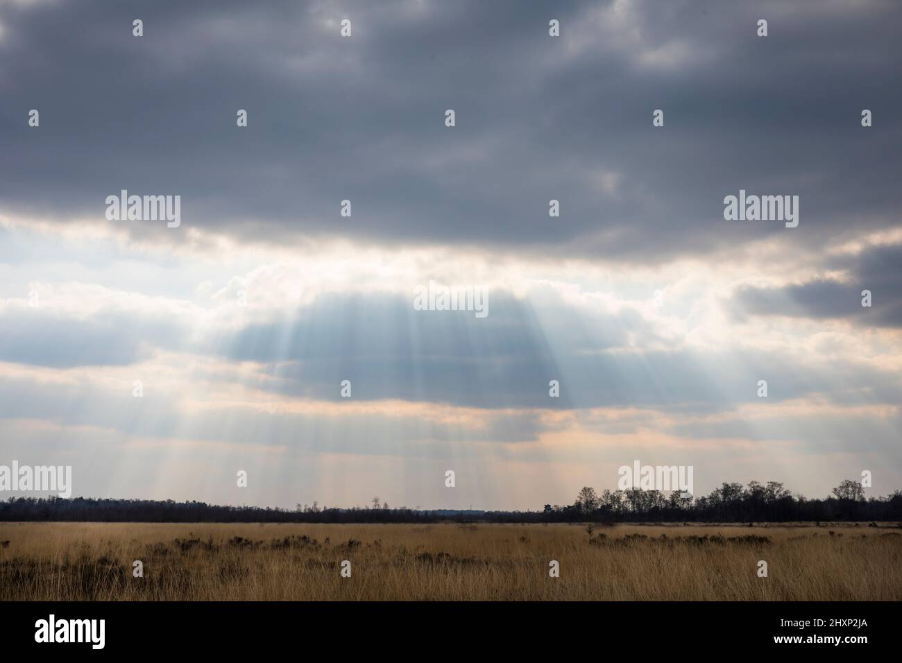 Landzunge mit Sonnenstrahlen, die durch starke Wolken im Nationalpark 'Groote Peel' in den Niederlanden kommen Stockfoto