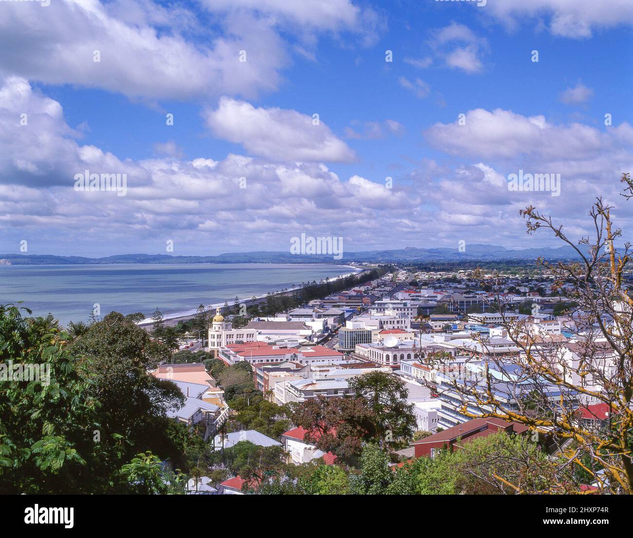 Stadt am Meer und Hawke Bay, Napier, Hawkes Bay Region, Neuseeland Stockfoto