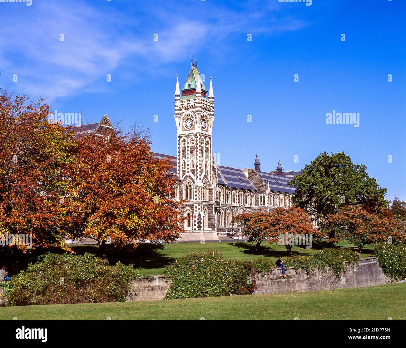 Blick auf Campus zeigt Clocktower University, University of Otago, Dunedin, Otago Region, Südinsel, Neuseeland Stockfoto