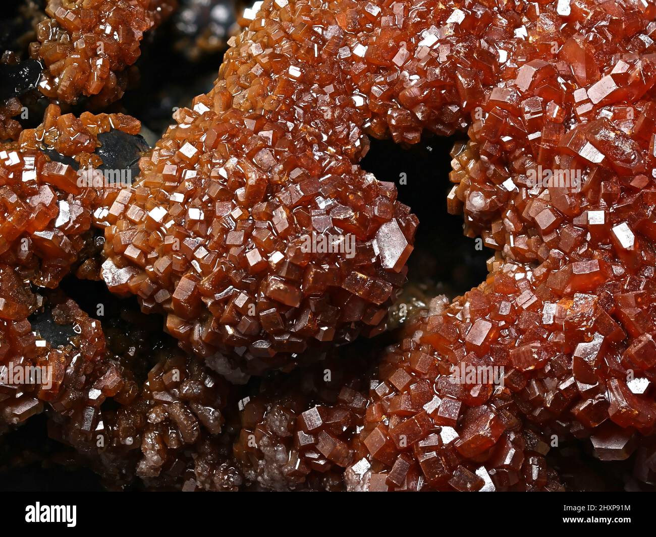 Rote Kristalle von Vanadinit auf Goethit-Matrix aus Taouz, Marokko Stockfoto