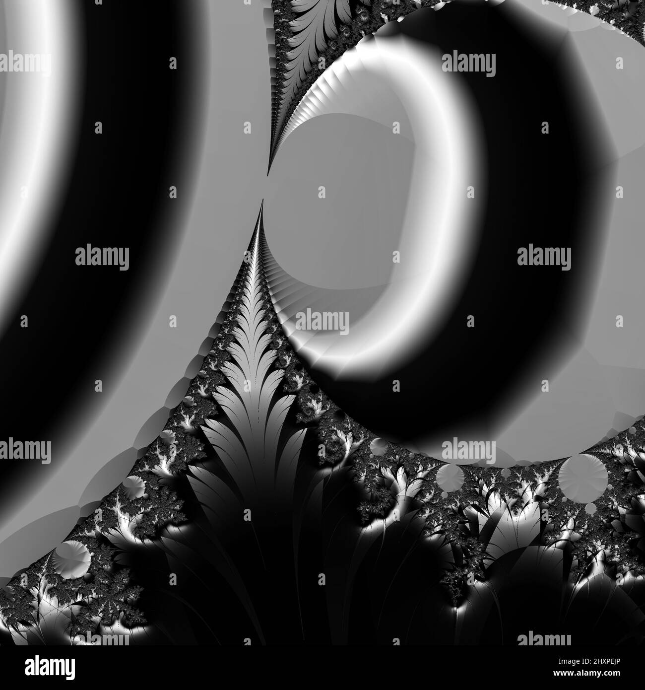 Digitale abstrakte Fraktal Hintergrund generiert am Computer in schwarz und weiß. Stockfoto