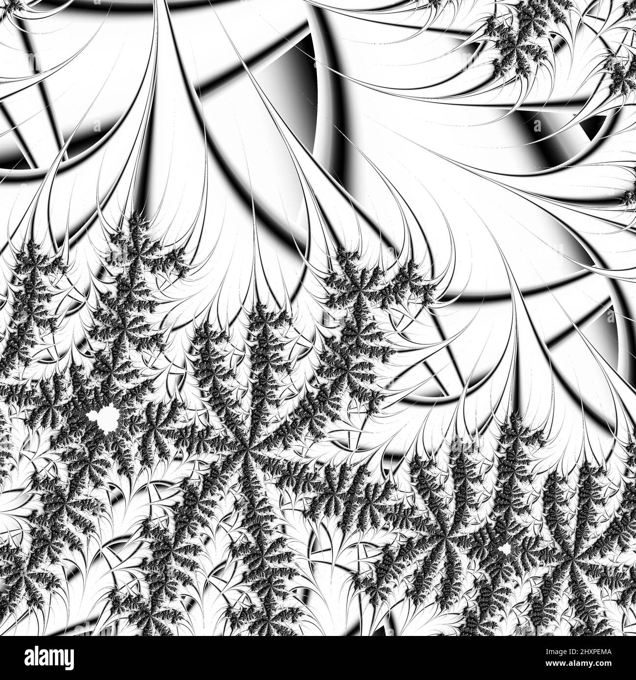 Digitale abstrakte Fraktal Hintergrund generiert am Computer in schwarz und weiß. Stockfoto