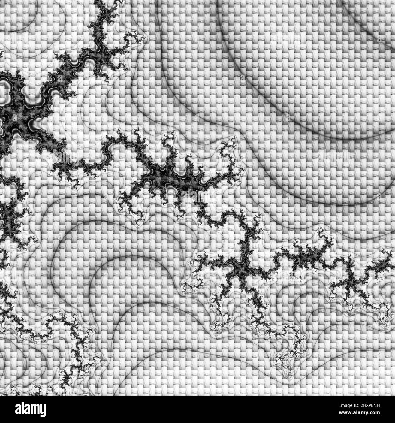 Digitale abstrakte Fraktal Hintergrund generiert am Computer in schwarz und weiß. Stockfoto