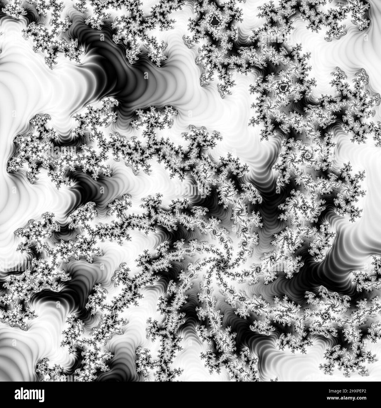 Digitale abstrakte Fraktal Hintergrund generiert am Computer in schwarz und weiß. Stockfoto