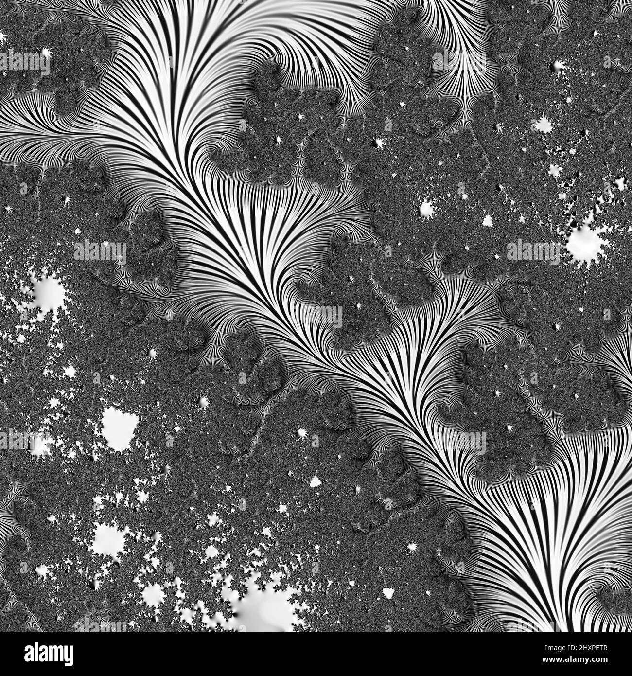Digitale abstrakte Fraktal Hintergrund generiert am Computer in schwarz und weiß. Stockfoto