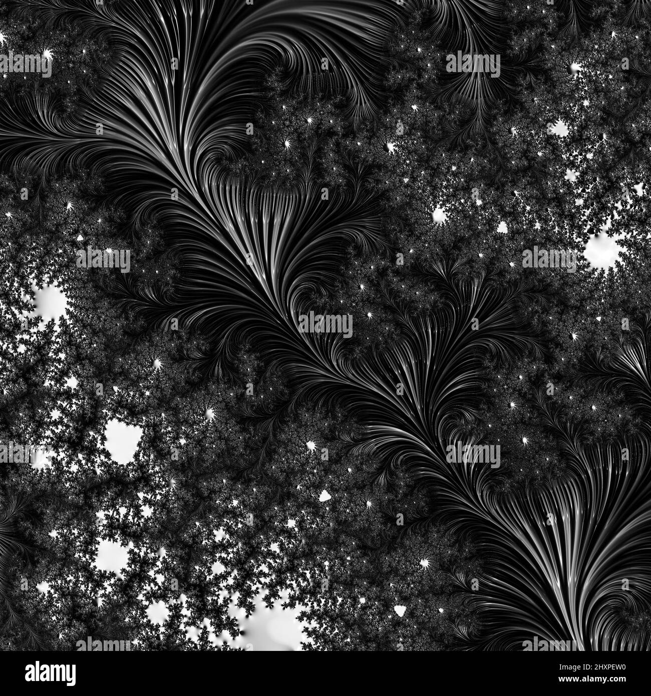 Digitale abstrakte Fraktal Hintergrund generiert am Computer in schwarz und weiß. Stockfoto