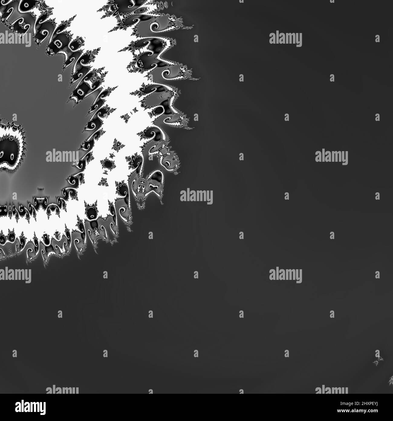 Digitale abstrakte Fraktal Hintergrund generiert am Computer in schwarz und weiß. Stockfoto