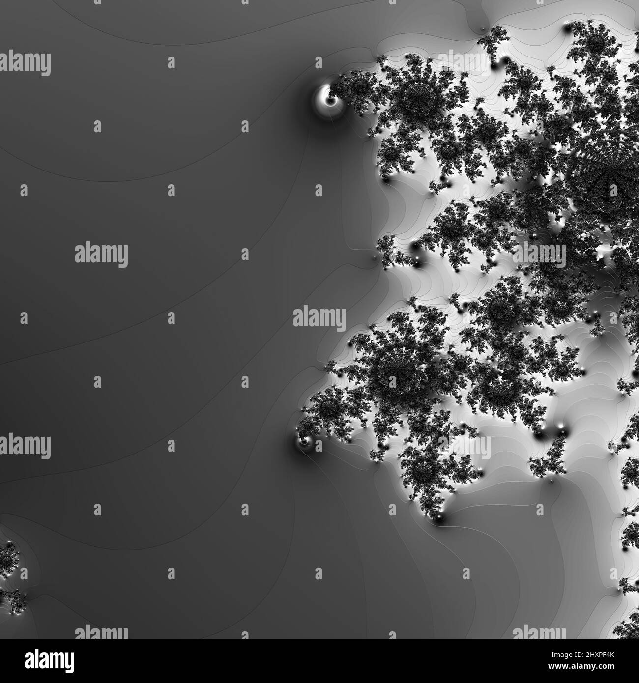 Digitale abstrakte Fraktal Hintergrund generiert am Computer in schwarz und weiß. Stockfoto