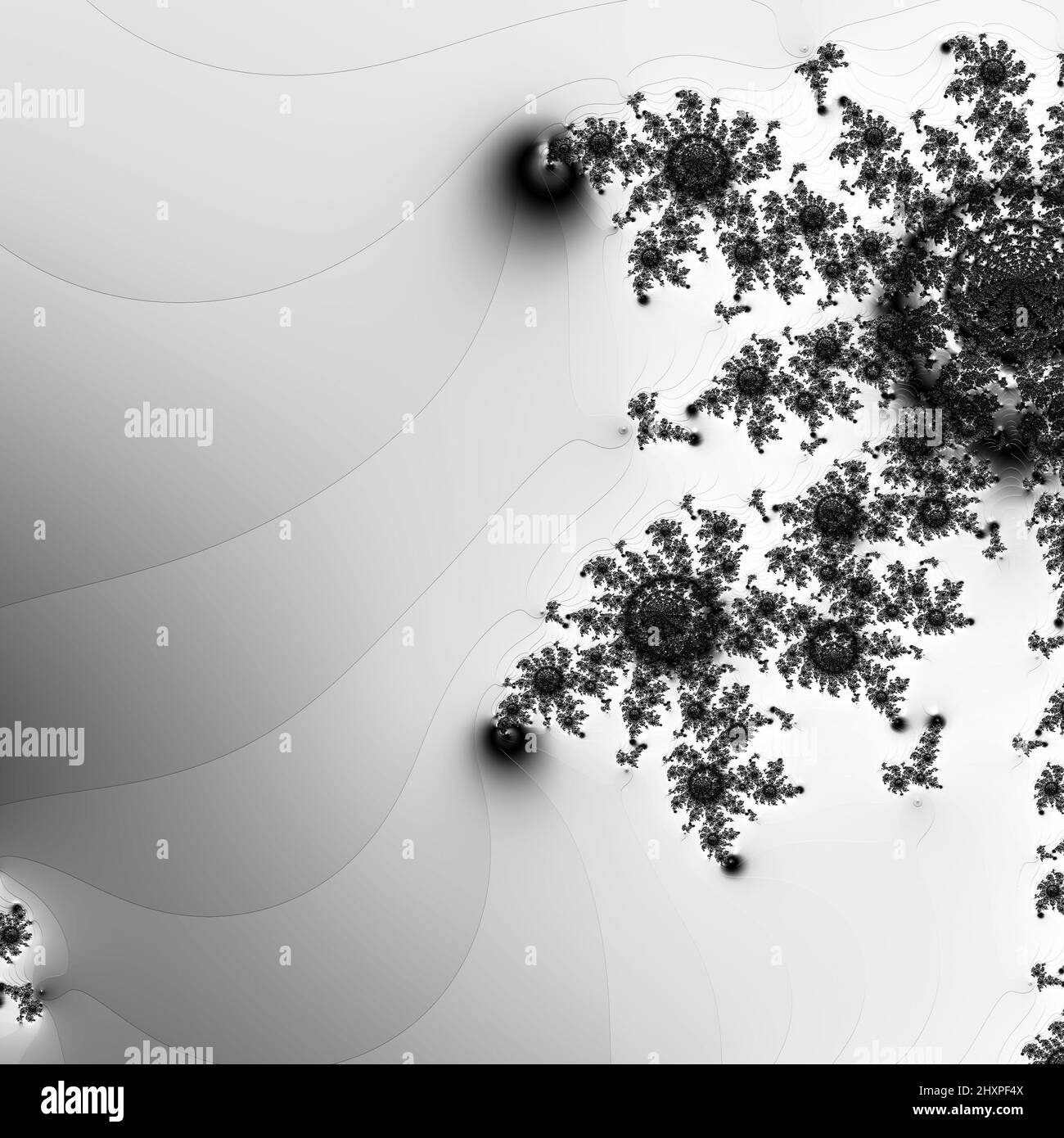 Digitale abstrakte Fraktal Hintergrund generiert am Computer in schwarz und weiß. Stockfoto