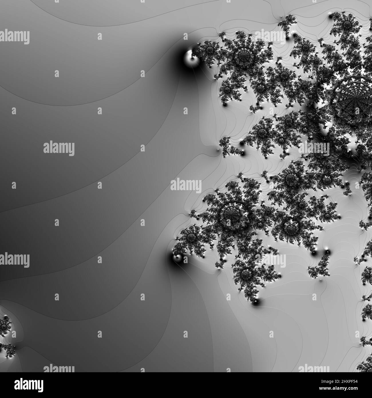 Digitale abstrakte Fraktal Hintergrund generiert am Computer in schwarz und weiß. Stockfoto