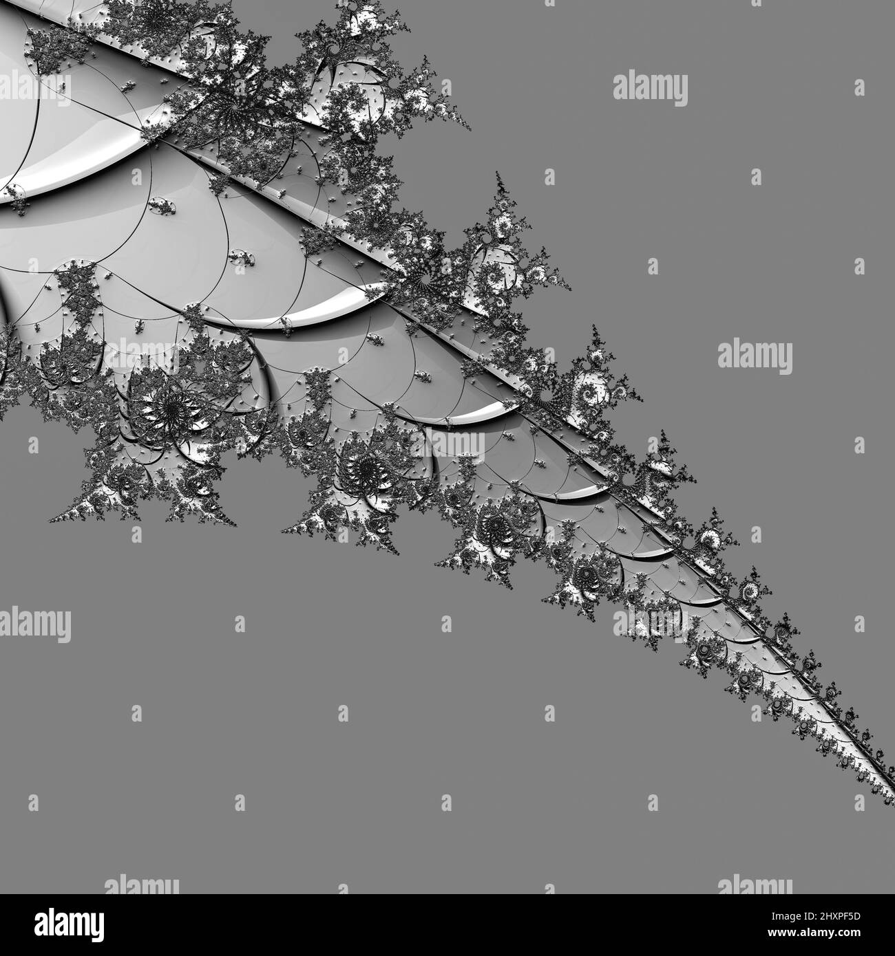 Digitale abstrakte Fraktal Hintergrund generiert am Computer in schwarz und weiß. Stockfoto