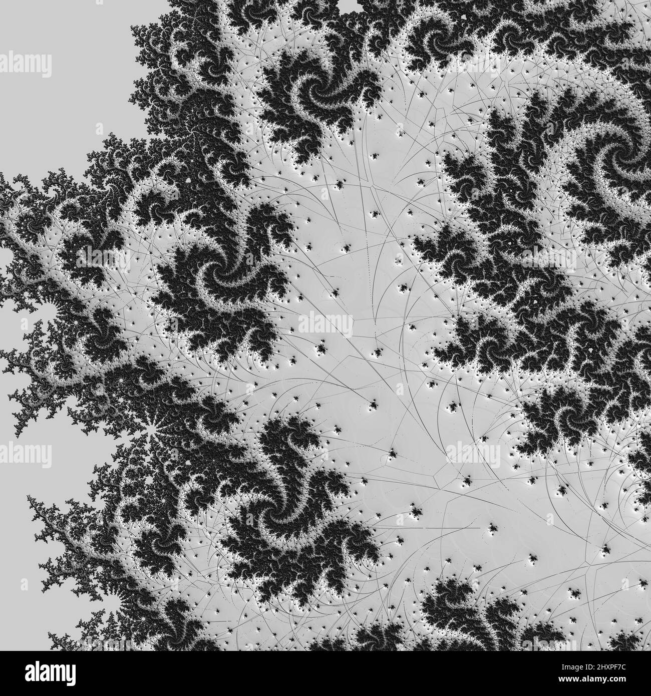 Digitale abstrakte Fraktal Hintergrund generiert am Computer in schwarz und weiß. Stockfoto