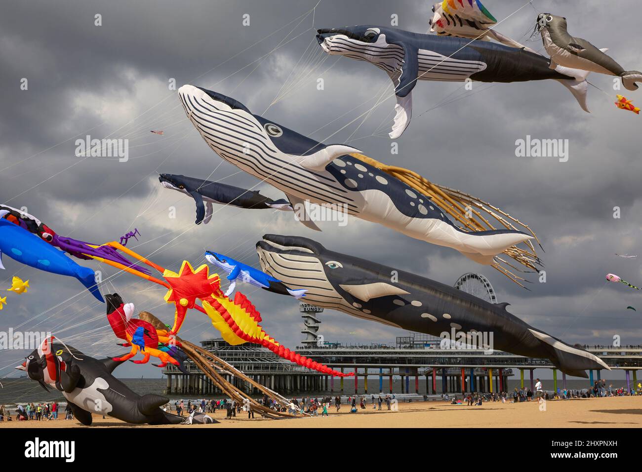 Riesige Drachen mit marinen Figuren fliegen über die Teilnehmer der Veranstaltung Stockfoto