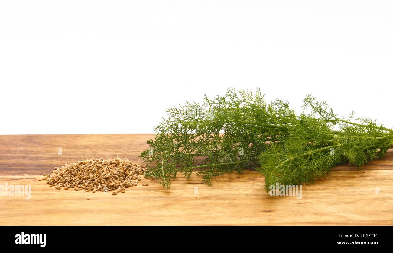 Frischer Fenchel und seine Samen auf Holzbrett mit weißem Hintergrund, Foeniculum vulgare, aromatische Pflanze Stockfoto