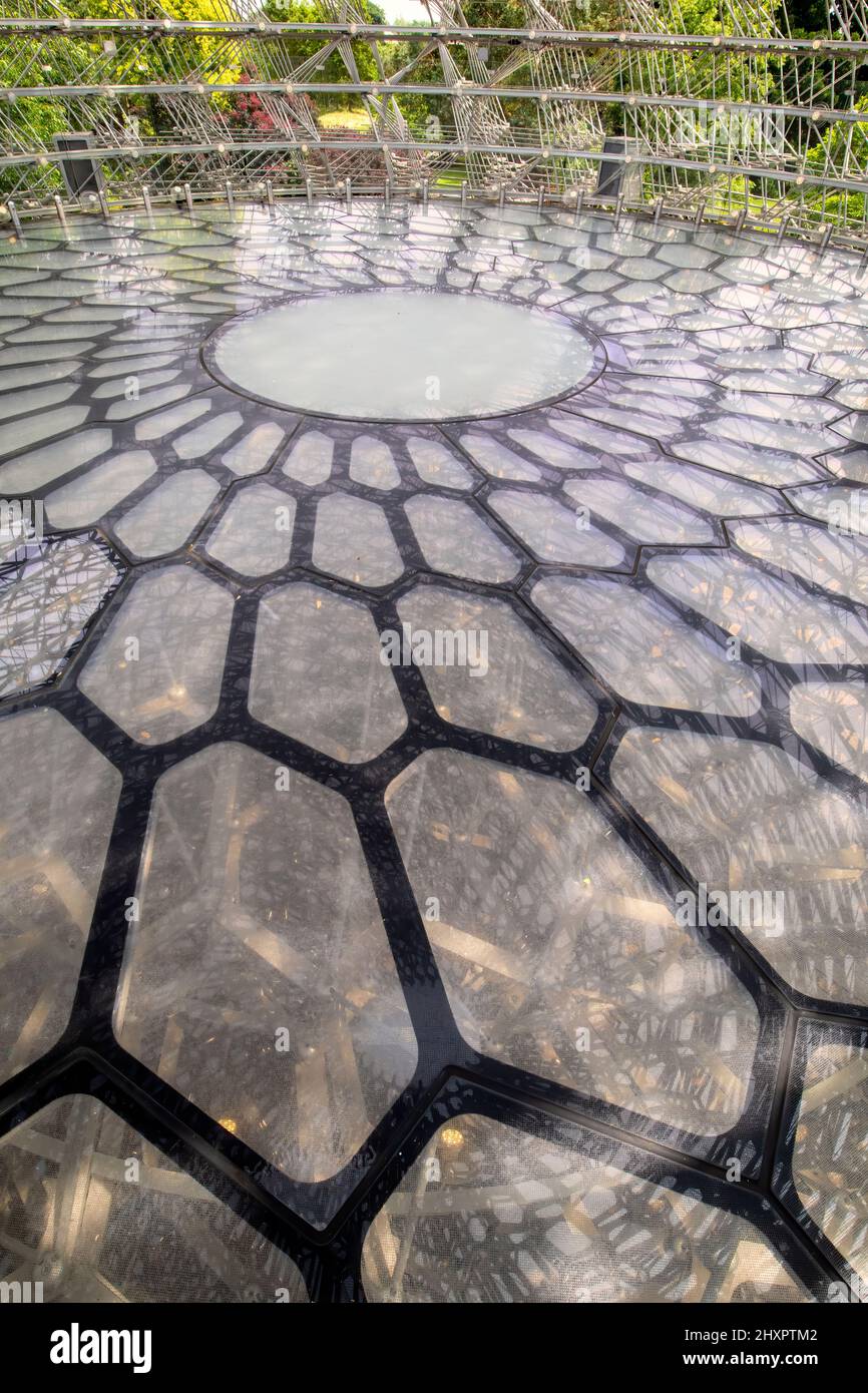 Floor of the Hive at Royal Botanic Gardens, Kew, London, England - Eine Hommage an britische Honigbienen. 17 Meter hoch. Gestaltet von Wolfgang Buttress Stockfoto