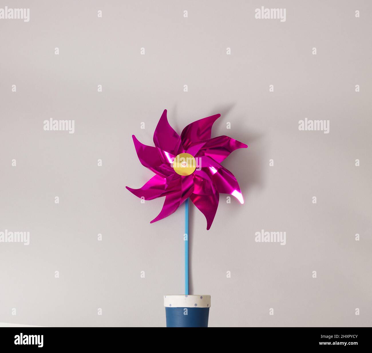 Helles Cyclamen gefärbtes Windmühlenspielzeug, das aus einem blauen und weißen Blumentopf auf minimalem Hintergrund wächst. Stockfoto