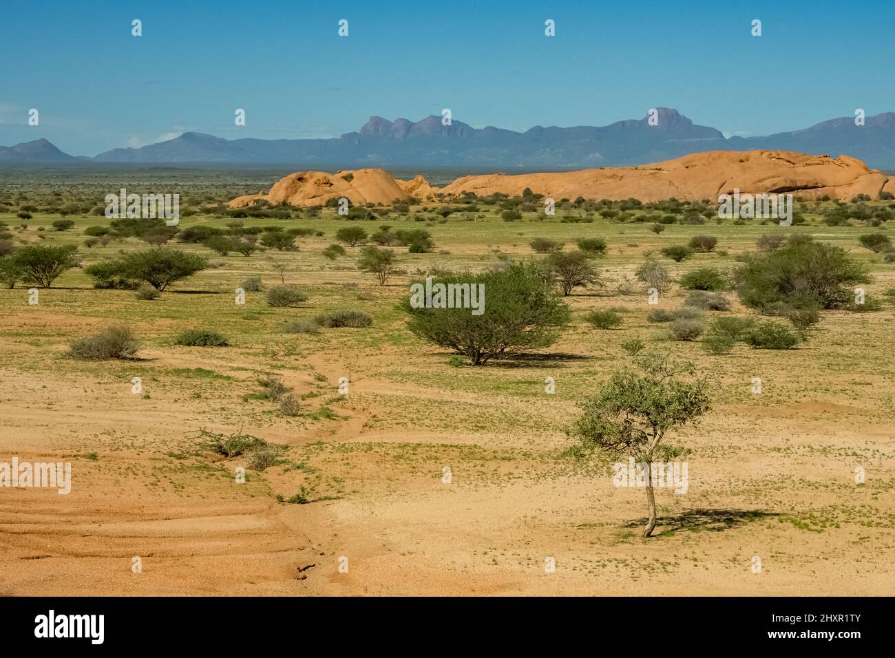 Namibia, Landschaft im Damaraland Stockfoto