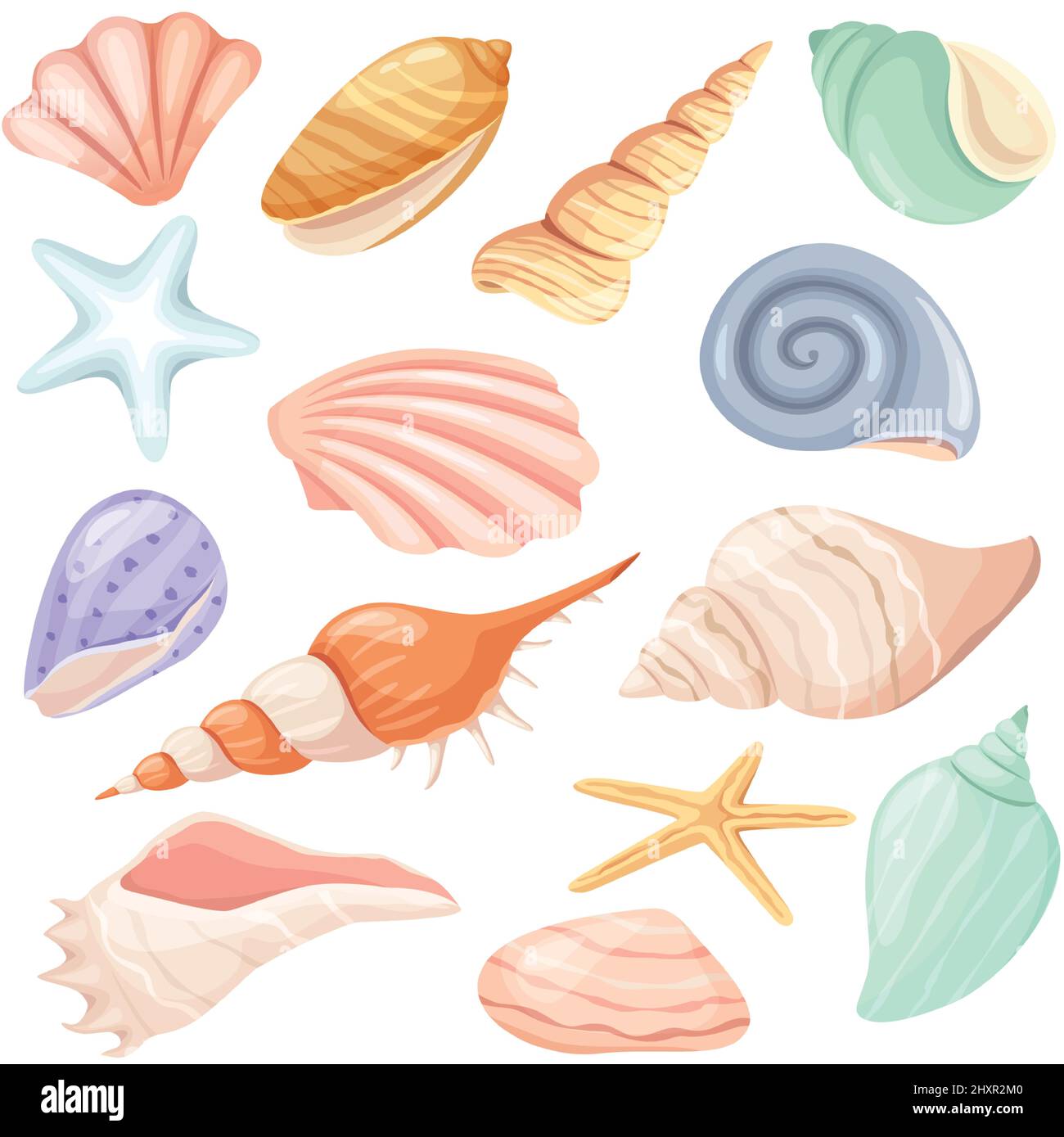 Cartoon Muscheln und Seesterne, tropischen Ozean Muschel. Schnecke, Auster, Muschel, marine Weichtiere Muscheln, Sommer Strand Elemente Vektor-Set. Unterwasser Wildtiere Objekte isoliert auf weiß Stock Vektor