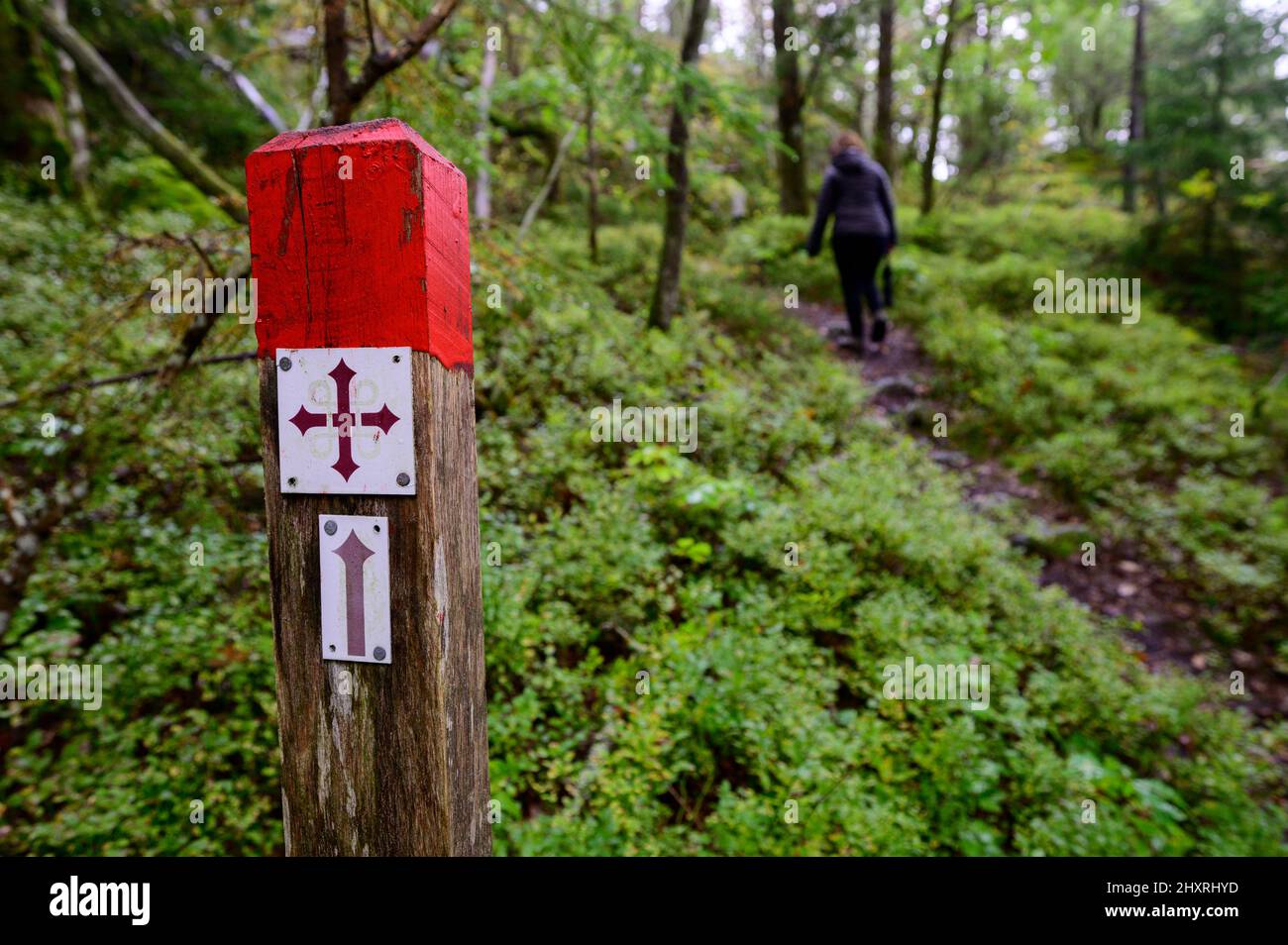 Wanderwegschild auf dem Pilgrimsleden auf der schwedischen Insel Orust Stockfoto