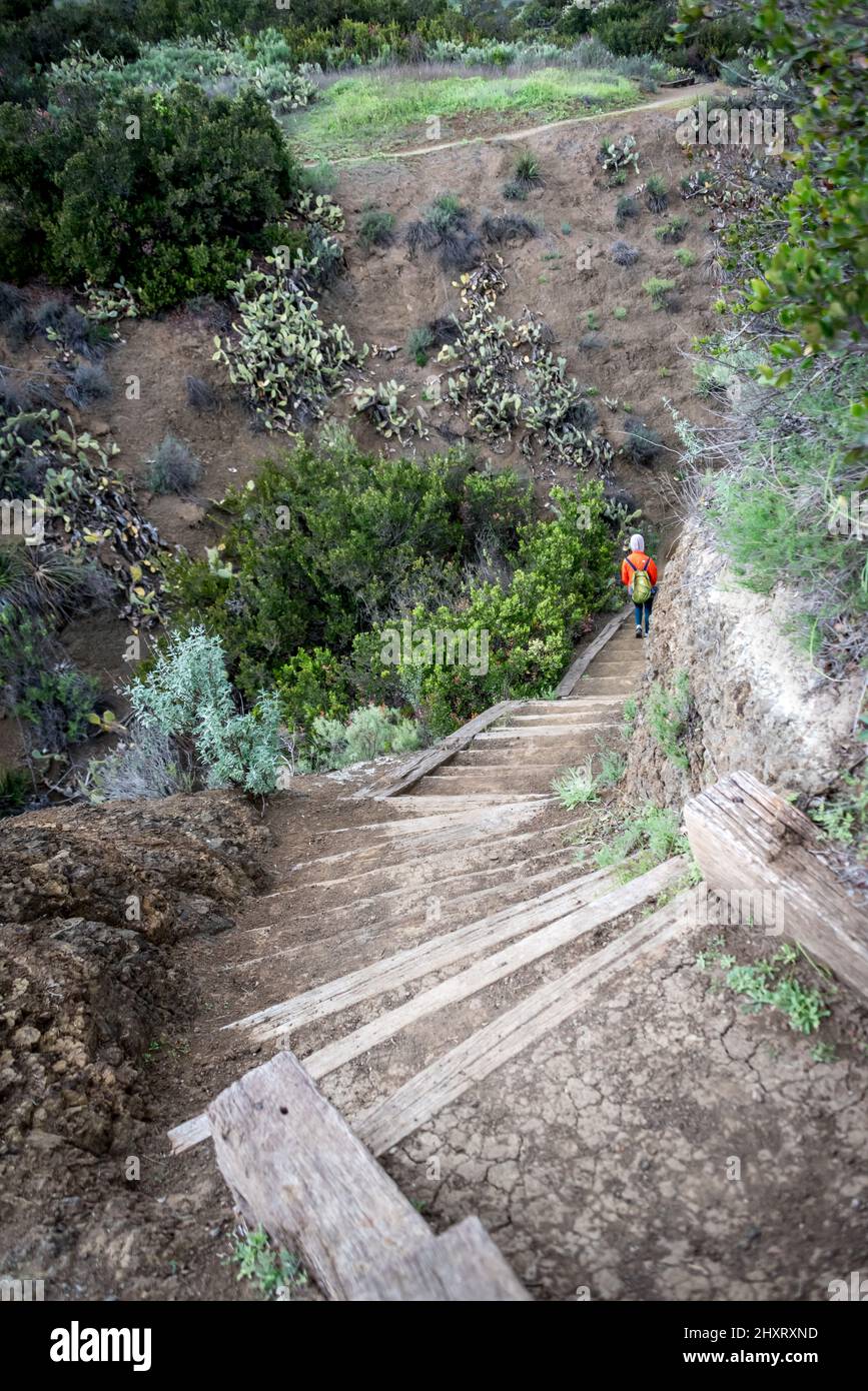 Die Stufen des Moonridge Trail führen in einen steilen Canyon mit Kakteen, während ein einflüchtiger Wanderer das Conejo Open Space im Wildwood Park, Thousand Oaks, Kalifornien, erkundet Stockfoto