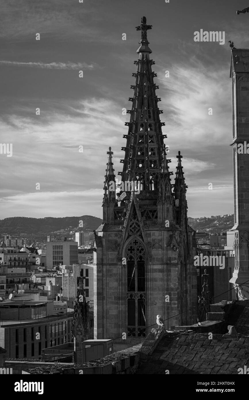Blick auf die Kuppel der Kathedrale von Barcelona Stockfoto